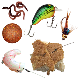 Go to our Fishing Baits page