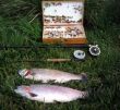 Nice brace of Trout from Dever Springs